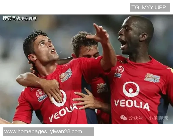 新城堡联与惠灵顿凤凰的精彩对决揭示足球魅力与团队精神的完美结合